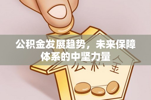 喜德公积金发展趋势，未来保障体系的中坚力量