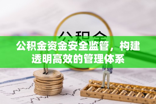 喜德公积金资金安全监管，构建透明高效的管理体系